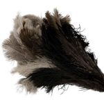 Bürstenhaus Redecker Straußenwedel mit mittlerem Kopf (468807)