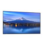 SHARP NEC PN-P656, 65" P-Series Large Format Display, UHD, 700cd/m2, D-LED backlight, 24/7 proof, SDM Slot, CM-Slot [Energieklasse G] (60006061)