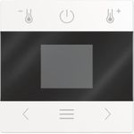 BUSCH JAEGER BJ 1794 MDRT-914 Zentralscheibe für Raumtemperaturregler mit Display (2CKA006430A0412) (B-Ware)