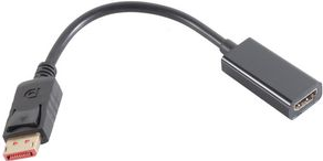 shiverpeaks BASIC-S 1.4 Adapter, DisplayPort (BS10-78001)