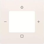 Busch-Jaeger Zentralscheibe 8252-914-101 (2CKA008200A0241)