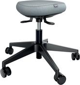 Esselte Leitz Ergonomischer Sitzhocker Activ mit Rollen (65770095)
