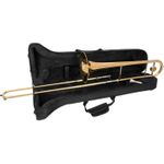 DIMAVERY TT-300 B-Tenor-Posaune, gold (26505540)