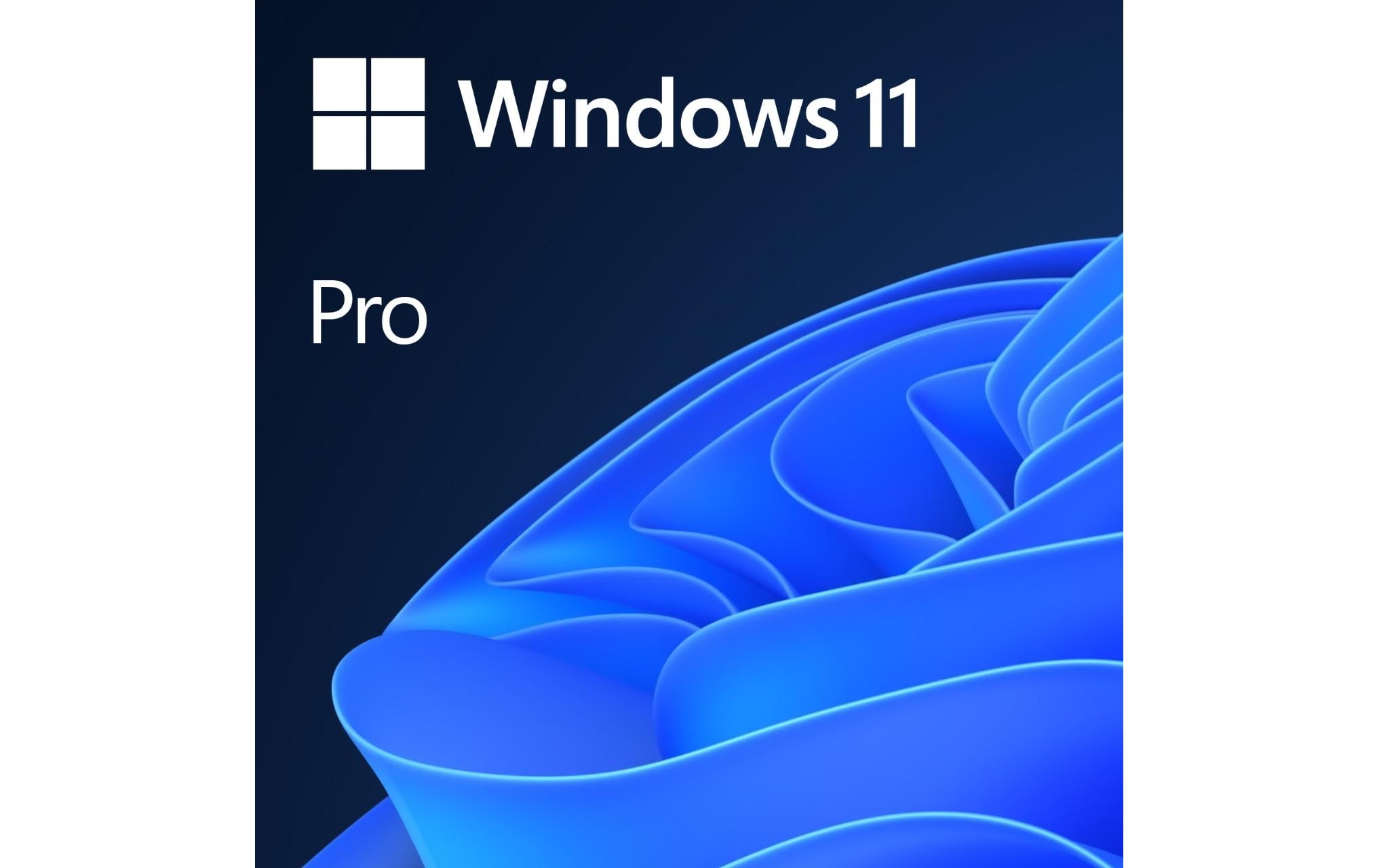 Microsoft Windows 11 Pro OEM 64-bit DVD Englisch 1 Lizenz