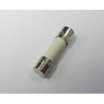 Fluke Sicherung 740670 Multimetersicherung 630 mA/250 V, 740670 (740670)