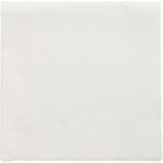 PAPSTAR Servietten Daily Collection weiß 2-lagig 16.0 x 16.0 cm 150 St. (89636)