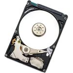 HGST Endurastar J4K320 HEJ423280H9E300 (0A60319)