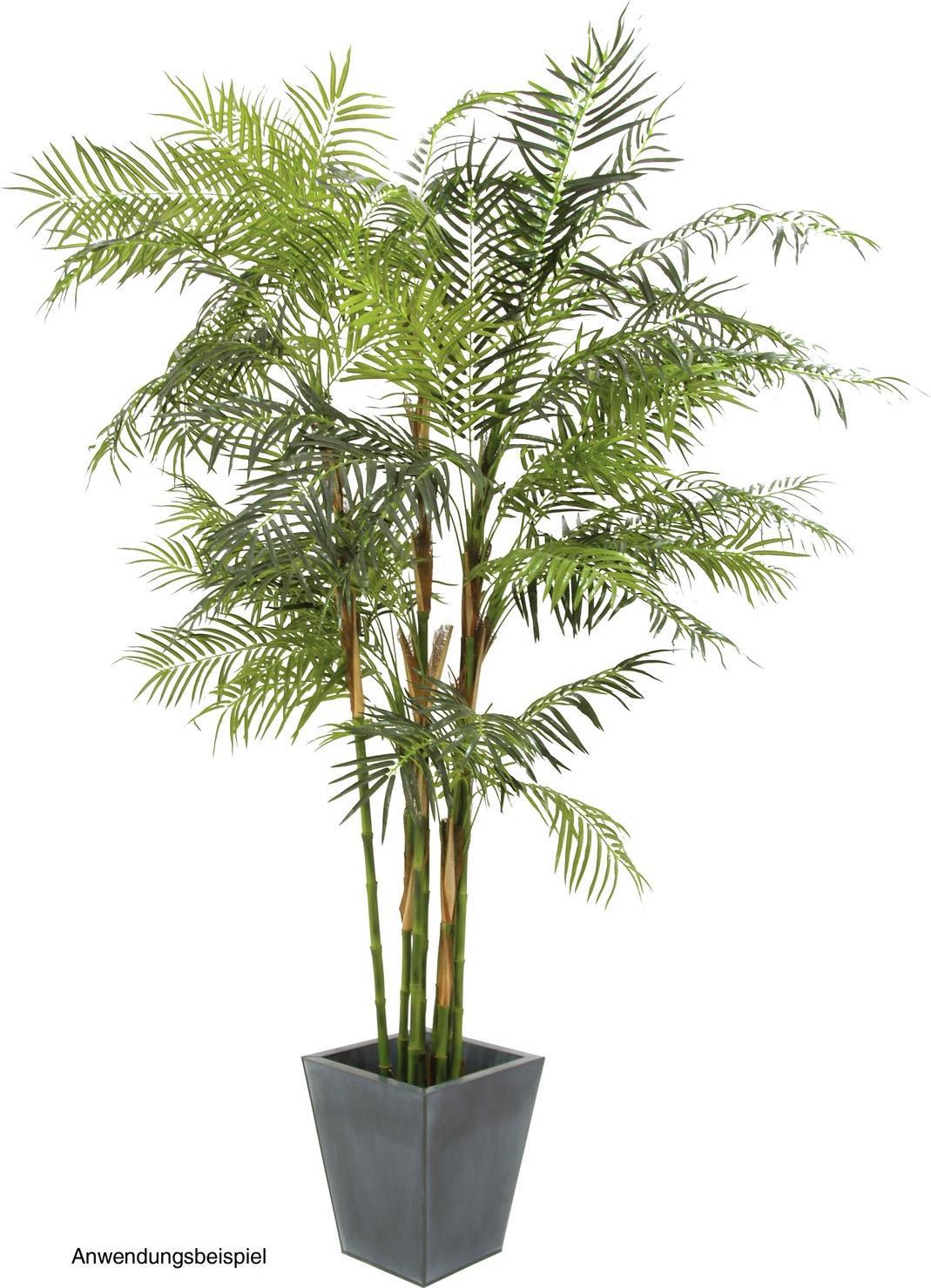 EUROPALMS Cycasrohr Palme, Kunstpflanze, 280cm (82511360)