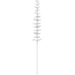 EUROPALMS Kristalleukalyptus, Kunstpflanze, transparent, 81cm 12x (82600201)