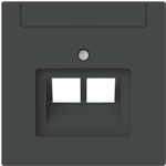 BUSCH-JAEGER 1803-02-45M Zentralscheibe 2-fach UAE Beschriftungsf (2CKA001710A4230)