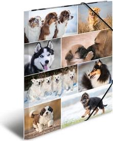 HERMA 19218 Pappe Mehrfarben Aktendeckel (19218)