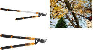 Bradas Bypass-Astschere V-SERIES, teleskopierbar anthrazit/orange, Bypassklinge mit Schutzbeschichtung, - 1 Stück (KT-V1250)