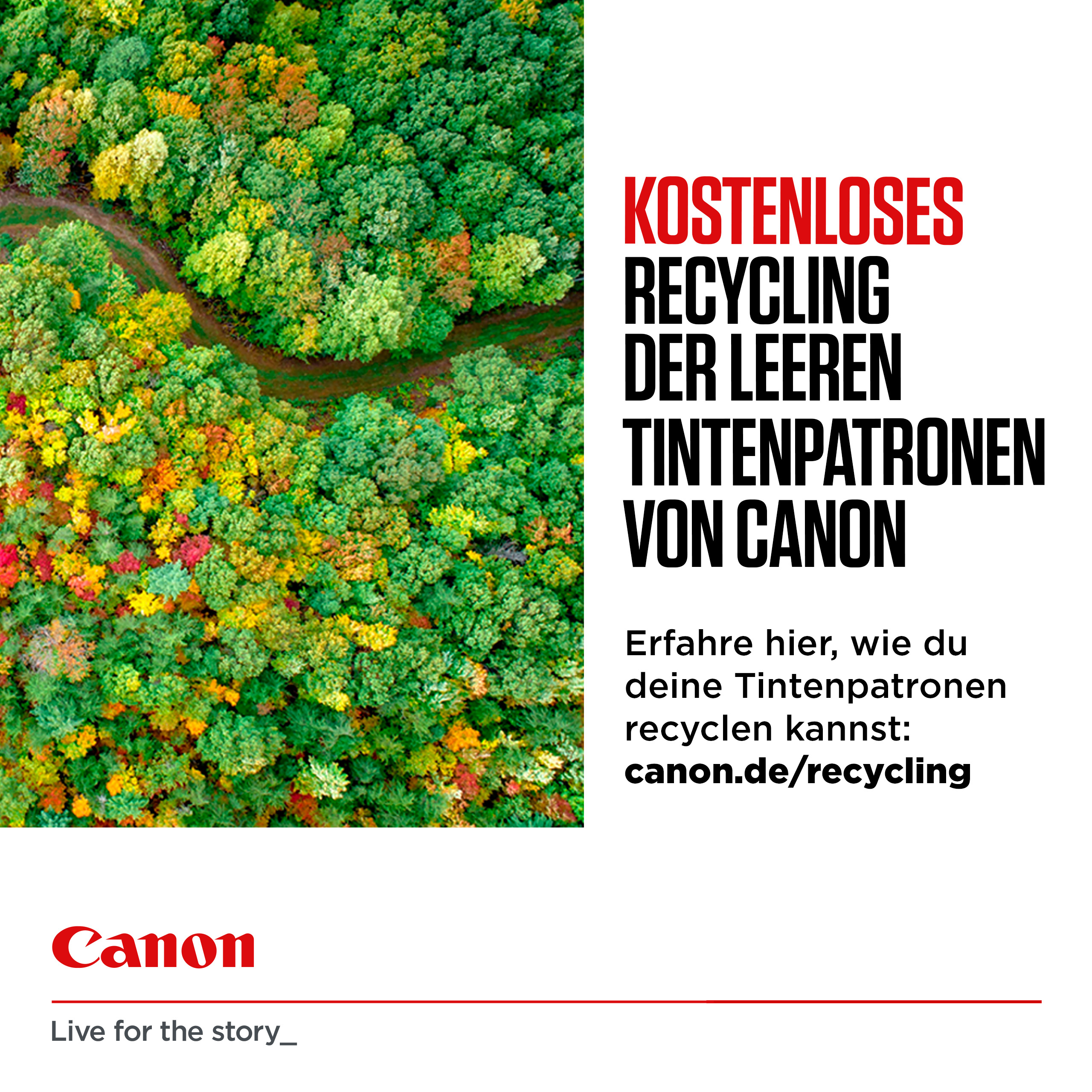 Canon PG PG-545 8 ml Schwarz