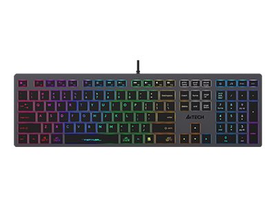 A4tech FSTYLER FX60H Tastatur USB QWERTY Grau