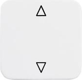 2506 JA/02-214 Wippe Jalousietaster (2CKA001731A2022)