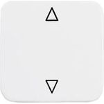 2506 JA/02-214 Wippe Jalousietaster (2CKA001731A2022)