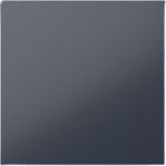 Siedle BM 611-0 AG Leeres Modul (210004903-00)