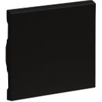 Legrand SEANO Wippe W/m in der 765306 Farbausführung Schwarz lackiert 10 (765306)