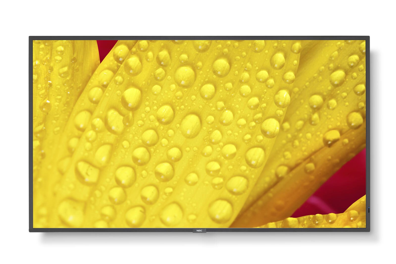 NEC MultiSync M431-2, 43'' Display, UHD, Ultra-HD 3840x2160, 500cd/mý, 24/7,, SDM, CM-Slot, 28 % Haze [Energieklasse G] (60006083)