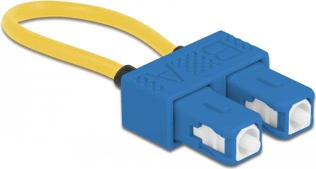 Delock Loopback-Adapter (86920)