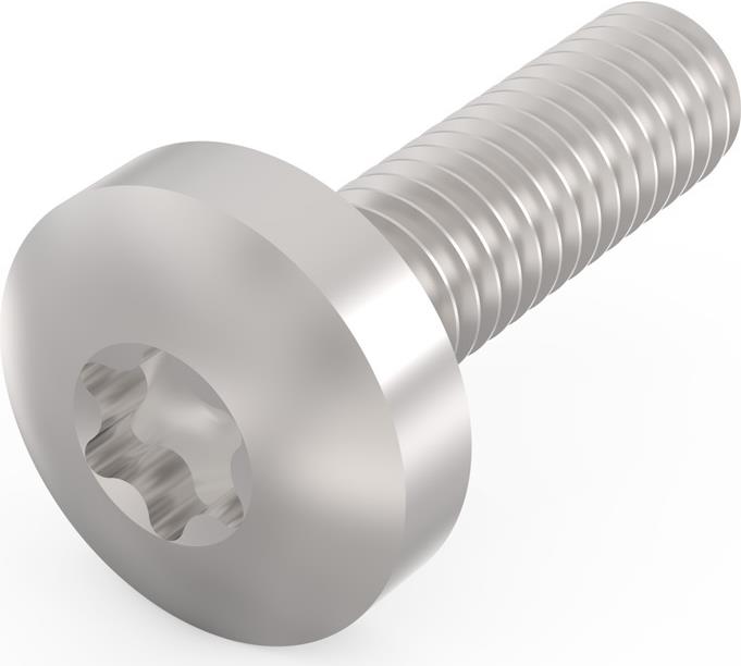 Schroff Pentair Techn. Schraube 24560-130 VE100 (24560130)