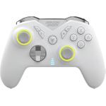 Dragonshock Nebula Pro (DSCPNSW-WH)