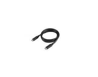 Lenovo USB-C Kabel 1 m USB 3.2 Gen 2 100 W Schwarz