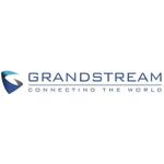 Grandstream GWN7302 PtP/PtMP Wireless Bridge Wi-Fi 6 (GWN7302)