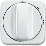 Busch Jaeger 1710-0-3420 Wandplatte/Schalterabdeckung Weiß (1710-0-3420)