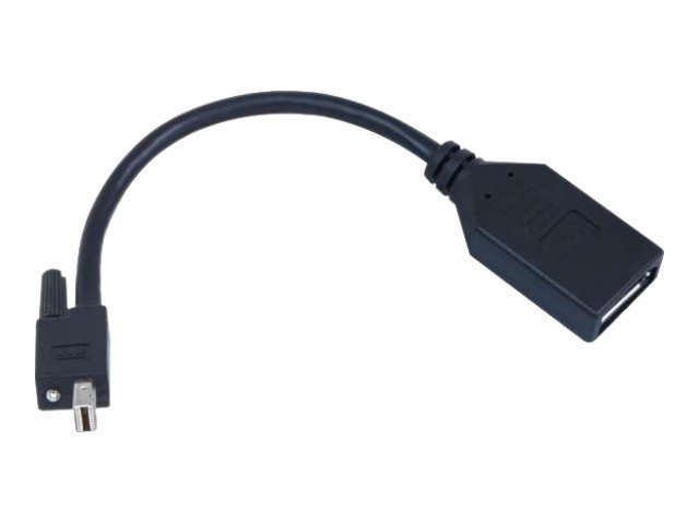 Matrox CAB-MDP-DPF Mini DisplayPort auf DisplayPort Adapterkabel 0,2 m Schwarz