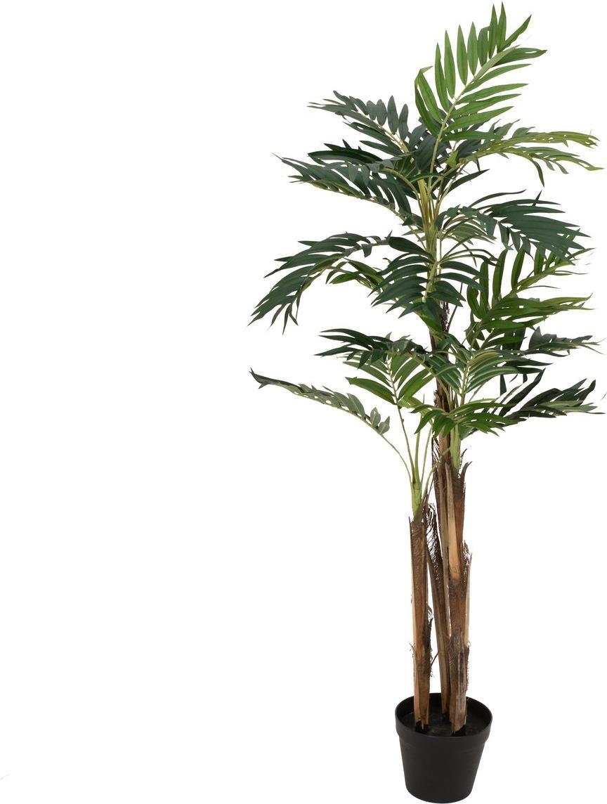 EUROPALMS Areca Palme, Kunstpflanze, 110cm (82509434)