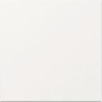 GIRA Wippe 349603 gerade Sys.55 rws (349603)