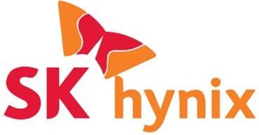 Hynix DDR5 Modul 32 GB (HMCG88MEBRA)