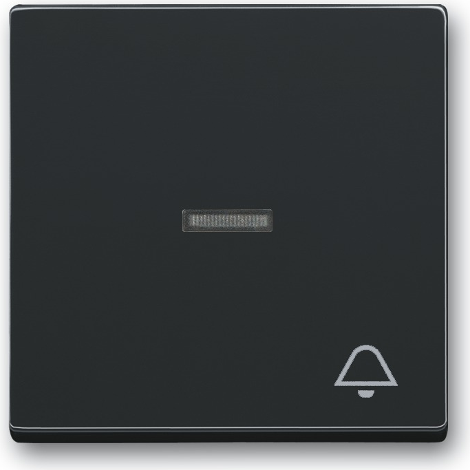 Busch-Jaeger 1751-0-2932. Steuerung: Knöpfe, Produktfarbe: Anthrazit. Breite: 63 mm, Höhe: 63 mm. Menge pro Packung: 1 Stück(e) (1751-0-2932)