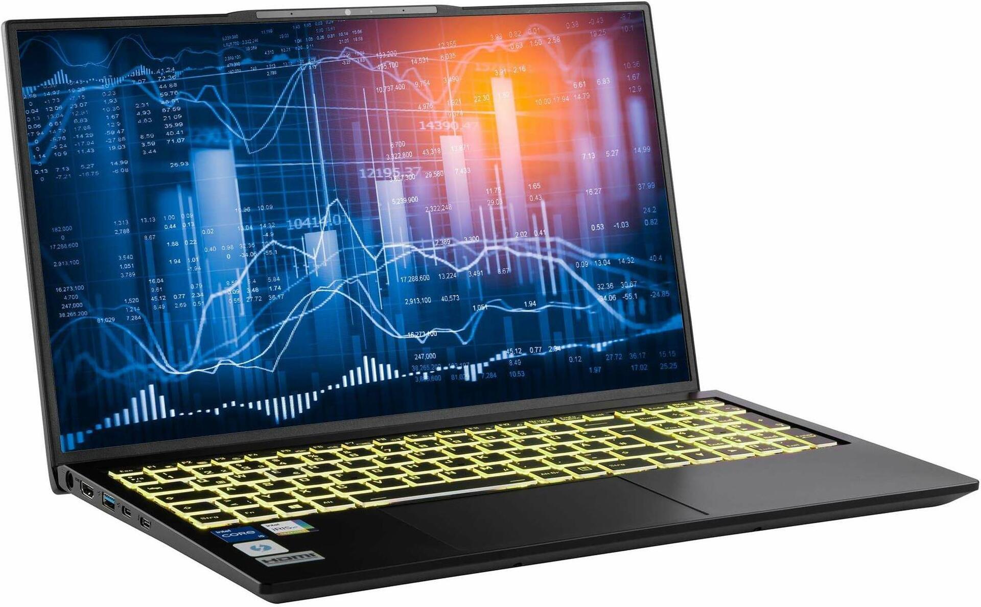 CAPTIVA Power Starter I76-120 Laptop 43,9 cm (17.3") Full HD Intel® Core™ i5 32 GB DDR5-SDRAM 500 GB SSD Wi-Fi 6 (802.11ax) Windows 11 Home Schwarz (76120)