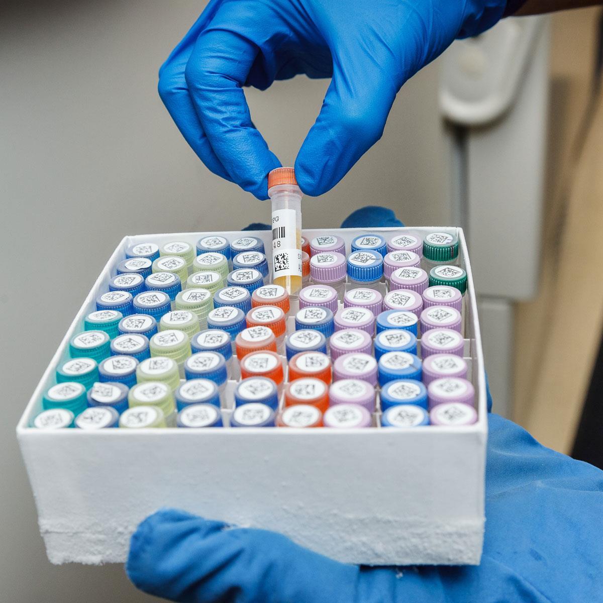 Brady , B33-249-7425, Polypropylen, Weiß, 25.4 x 9.53 mm, permanent, mit Deckeletikett 9.53 mm Durchmesser (1500 Etik) (148682)