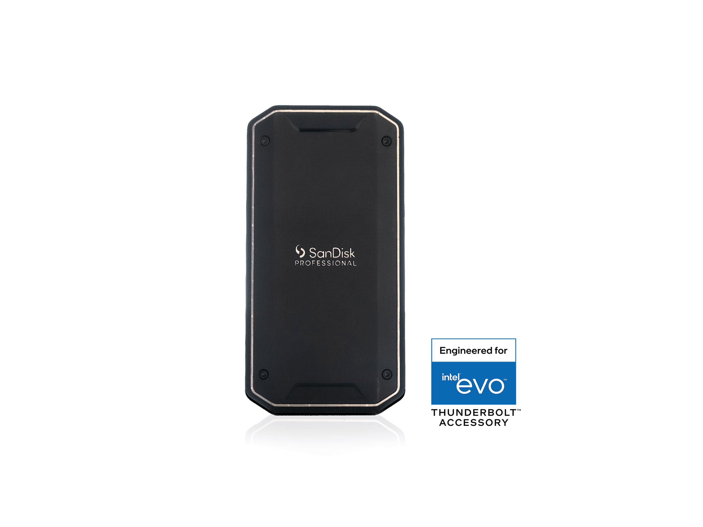 SanDisk Professional PRO-G40 2 TB SSD Schwarz