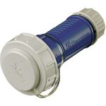 Kupplung Schuko 10833 16A2P+E 230V DWD blau (10833)