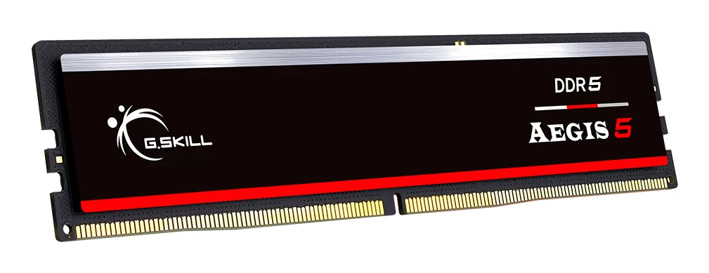 G.Skill AEGIS 5 F5-6000J3636F32GX1-IS 32 GB DDR5-6000 CL36 Speichermodul Schwarz
