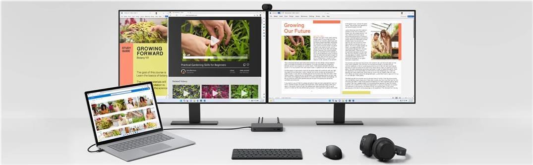 Microsoft Surface Thunderbolt 4 Dock Schwarz
