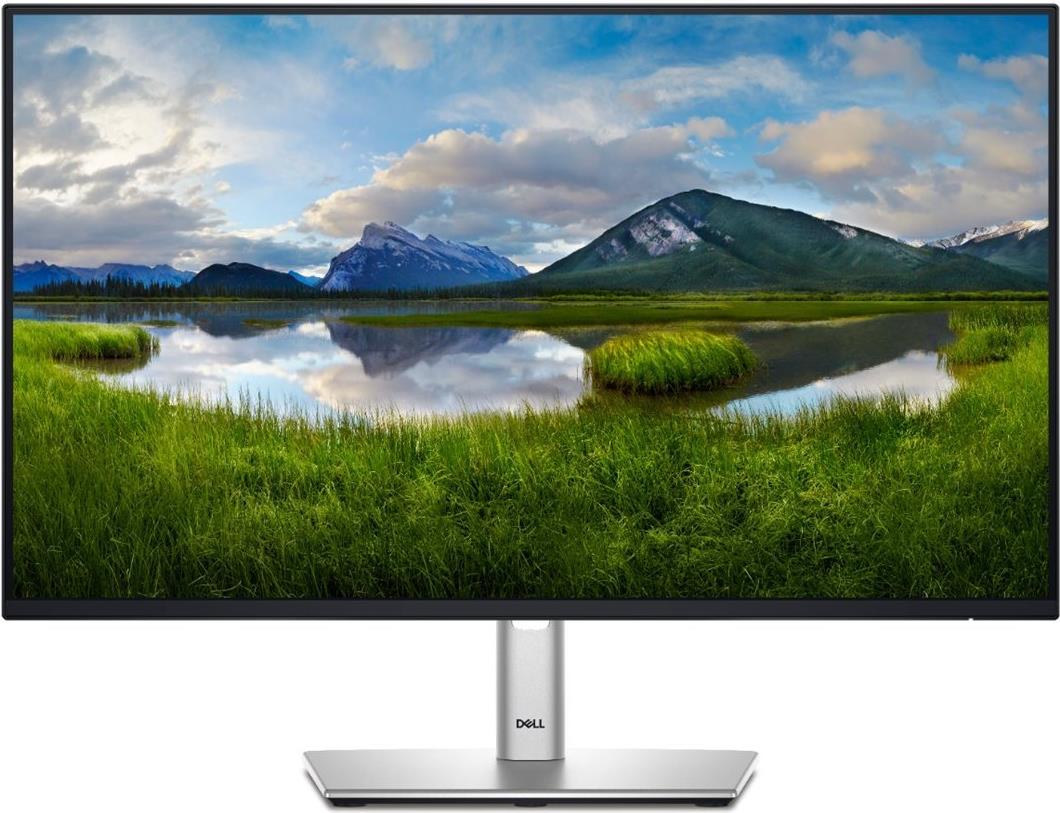 DELL P2425H LED-Monitor 61 cm 24