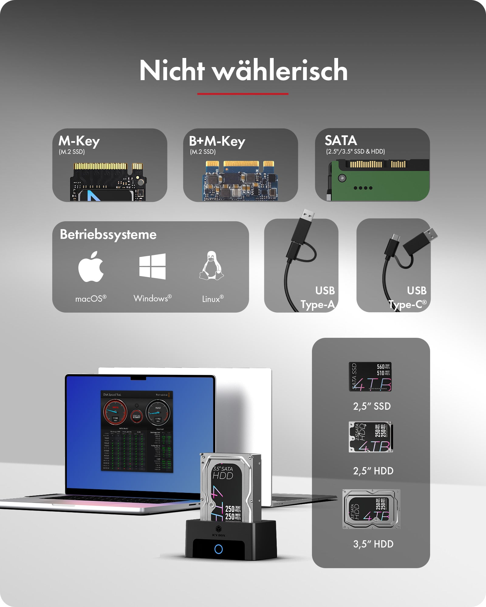 ICY BOX IB-1123M-CU31 Dockingstation USB 3.2 Gen 2 Type-C Schwarz