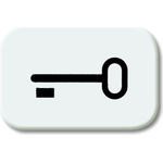 BJ Reflex SI Tastersymbol Schlüssel *alpinweiss* (2525TR-214) (2CKA001433A0044)