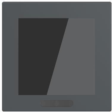 BUSCH JAEGER Display 2.4" Format 63 - solo/futu SD/U12.63.11-825 (2TMA310010B0003)