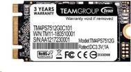 Team Group MS30 SSD (TM4PS7512G0C101)