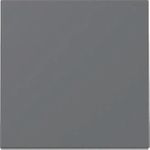 GIRA Wippe 329628 Sys.55 anthr (329628)