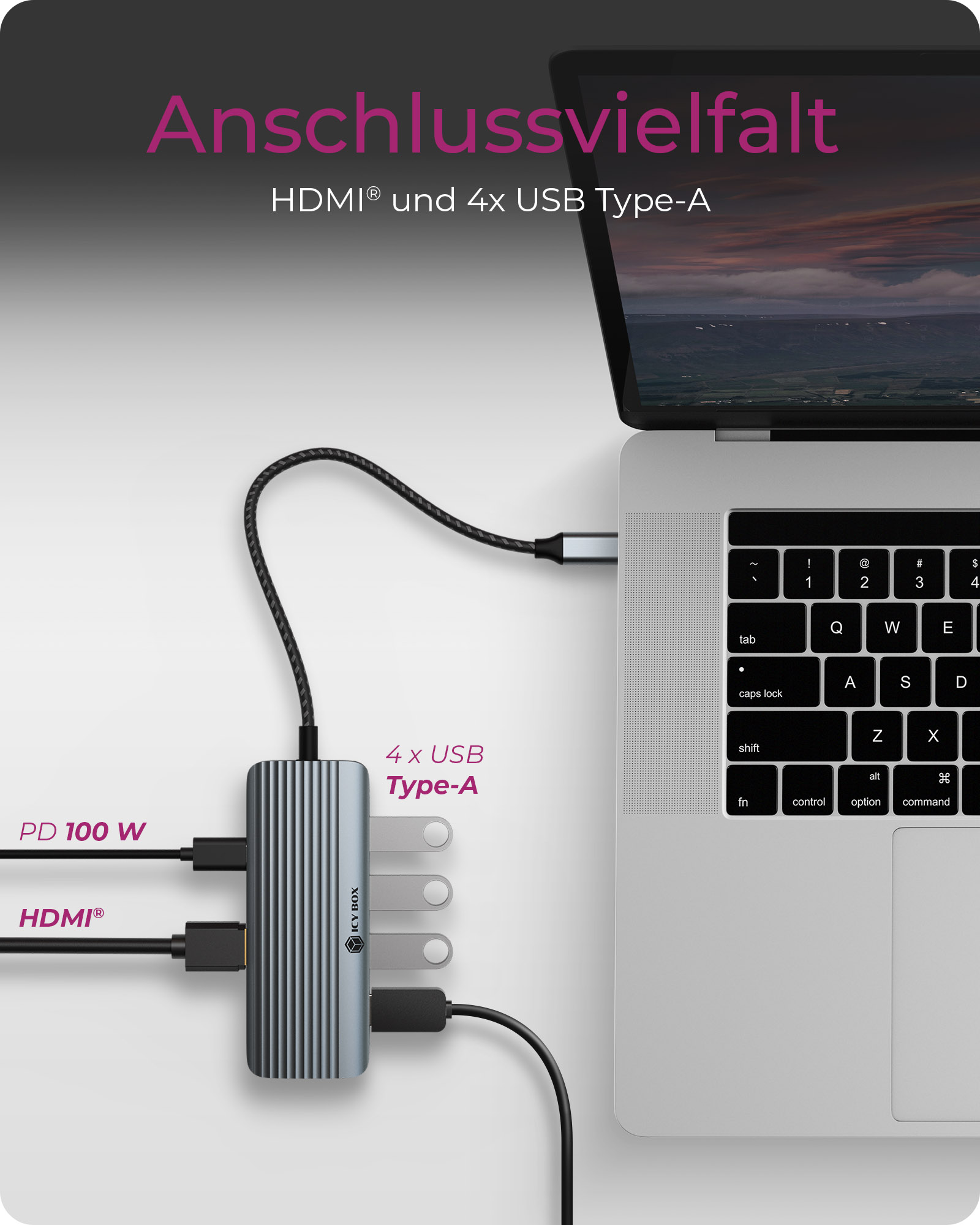 ICY BOX IB-DK4022a-CPD Dockingstation USB-C HDMI 4K 60Hz Silber Schwarz