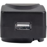 Manhattan Wall Charger and Travel Adapter (102155)