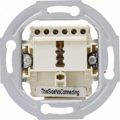 Kopp 1 Stück Einsatz TAE-Steckdose Aluminium 33369390 (33369390)