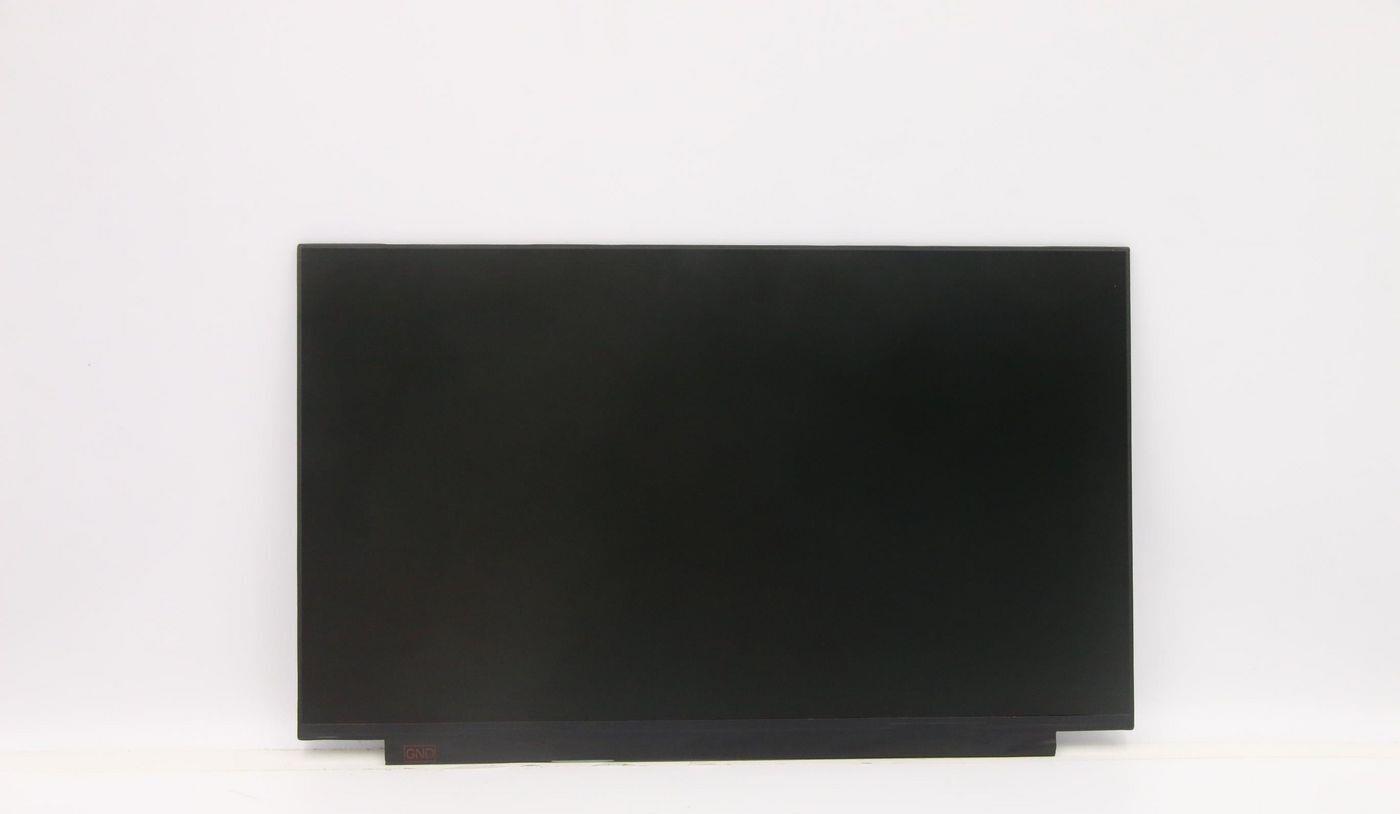Lenovo Thor DISPLAY 15.6" HD TN 220nit 45%CG non-brac (5D10W35431)